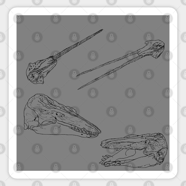 Arctic Whale Skulls and Oddities Grey Sticker by TrapperWeasel